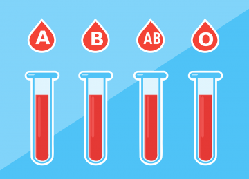 Photo-article-Groupes-Sanguins