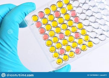 analyse-enzyme-liée-d-immunosorbant-ou-plat-elisa-134786906
